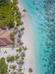 Preview wallpaper beach, aerial view, palm trees, structure