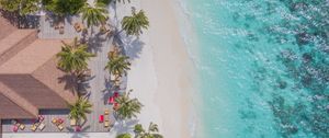 Preview wallpaper beach, aerial view, palm trees, structure