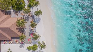Preview wallpaper beach, aerial view, palm trees, structure