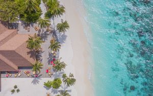 Preview wallpaper beach, aerial view, palm trees, structure