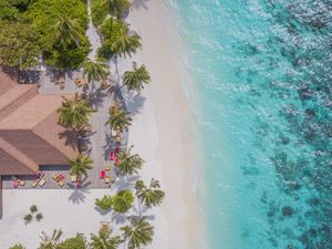 Preview wallpaper beach, aerial view, palm trees, structure