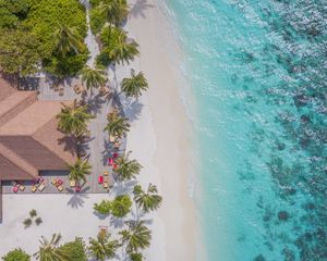 Preview wallpaper beach, aerial view, palm trees, structure