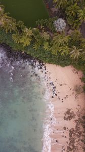 Preview wallpaper beach, aerial view, palm trees, sea, sand