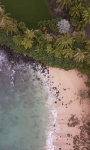 Preview wallpaper beach, aerial view, palm trees, sea, sand