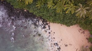 Preview wallpaper beach, aerial view, palm trees, sea, sand