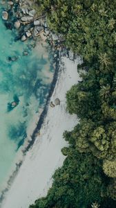 Preview wallpaper beach, aerial view, sea, palm trees, stones