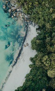 Preview wallpaper beach, aerial view, sea, palm trees, stones