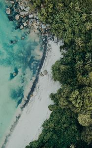 Preview wallpaper beach, aerial view, sea, palm trees, stones