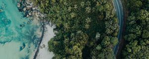 Preview wallpaper beach, aerial view, sea, palm trees, stones