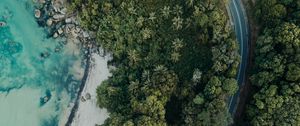 Preview wallpaper beach, aerial view, sea, palm trees, stones