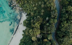 Preview wallpaper beach, aerial view, sea, palm trees, stones