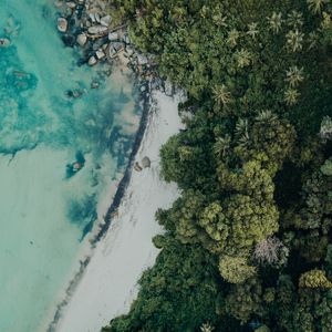 Preview wallpaper beach, aerial view, sea, palm trees, stones