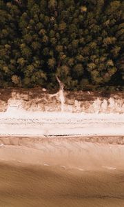 Preview wallpaper beach, aerial view, sea, forest, shore