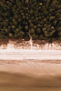 Preview wallpaper beach, aerial view, sea, forest, shore