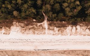 Preview wallpaper beach, aerial view, sea, forest, shore