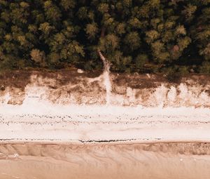 Preview wallpaper beach, aerial view, sea, forest, shore