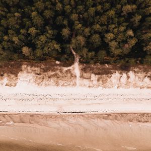 Preview wallpaper beach, aerial view, sea, forest, shore