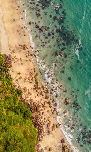Preview wallpaper beach, aerial view, shore, trees, sand