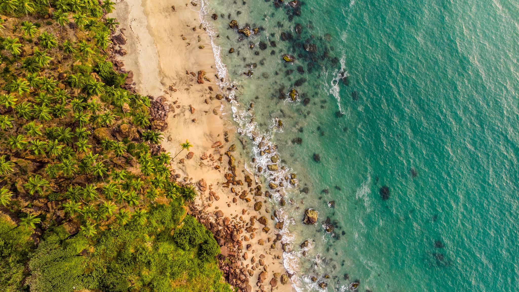 Download wallpaper 2048x1152 beach, aerial view, shore, trees, sand