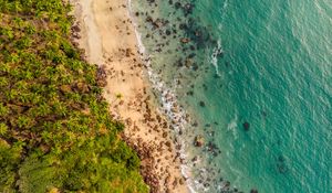 Preview wallpaper beach, aerial view, shore, trees, sand