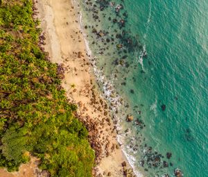 Preview wallpaper beach, aerial view, shore, trees, sand