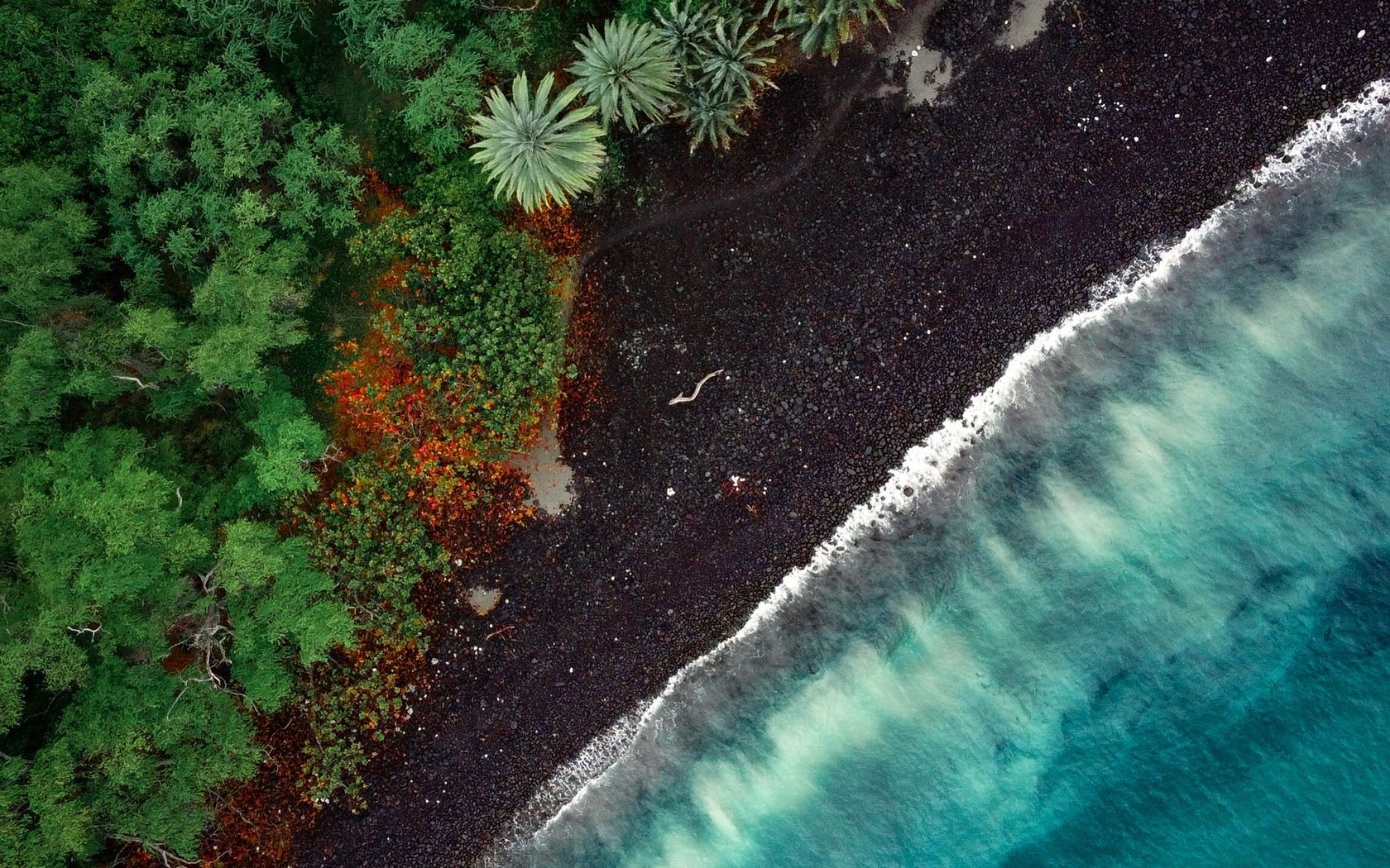 Download Wallpaper X Beach Aerial View Trees Tide Widescreen Hd Background