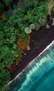 Preview wallpaper beach, aerial view, trees, tide