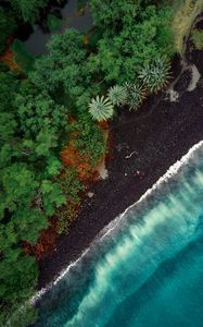 Preview wallpaper beach, aerial view, trees, tide