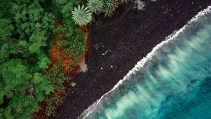 Preview wallpaper beach, aerial view, trees, tide