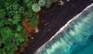 Preview wallpaper beach, aerial view, trees, tide