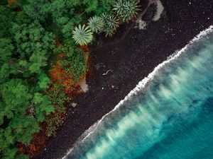 Preview wallpaper beach, aerial view, trees, tide