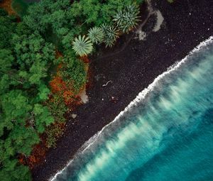 Preview wallpaper beach, aerial view, trees, tide