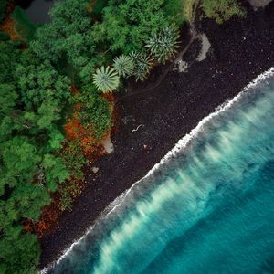 Preview wallpaper beach, aerial view, trees, tide