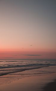 Preview wallpaper beach, birds, sand, sunset