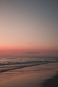 Preview wallpaper beach, birds, sand, sunset