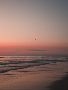 Preview wallpaper beach, birds, sand, sunset