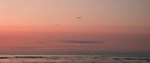 Preview wallpaper beach, birds, sand, sunset