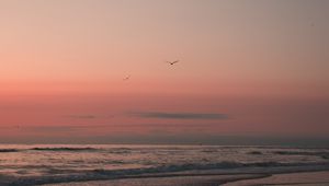 Preview wallpaper beach, birds, sand, sunset