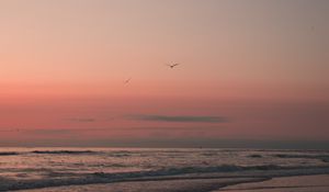 Preview wallpaper beach, birds, sand, sunset