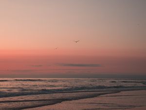 Preview wallpaper beach, birds, sand, sunset