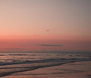 Preview wallpaper beach, birds, sand, sunset