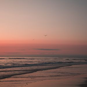 Preview wallpaper beach, birds, sand, sunset