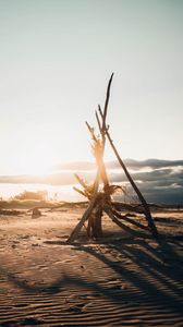 Preview wallpaper beach, branches, sunset, sunlight