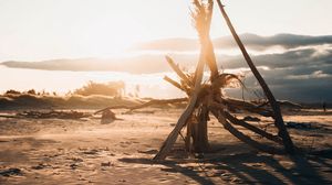 Preview wallpaper beach, branches, sunset, sunlight