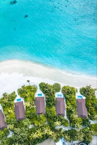 Preview wallpaper beach, buildings, aerial view, sea, palm trees