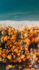 Preview wallpaper beach, coast, aerial view, sea, trees