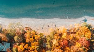 Preview wallpaper beach, coast, aerial view, sea, trees