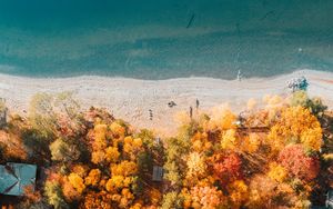 Preview wallpaper beach, coast, aerial view, sea, trees