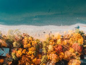 Preview wallpaper beach, coast, aerial view, sea, trees