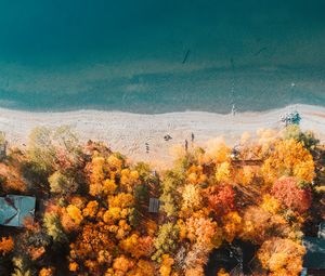 Preview wallpaper beach, coast, aerial view, sea, trees